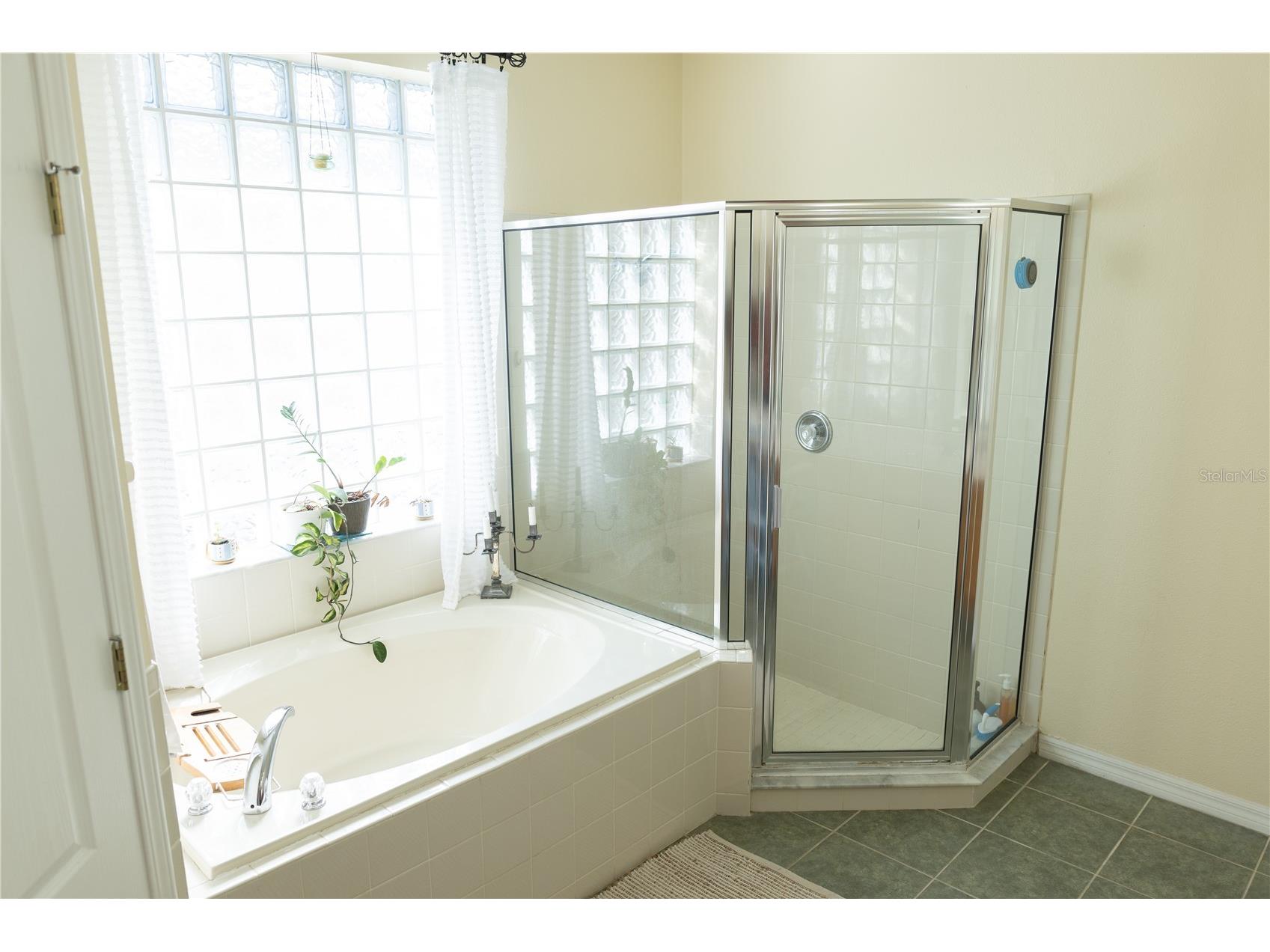 26620 Shoregrass Drive Wesley Chapel FL 33544 G5098399 image23