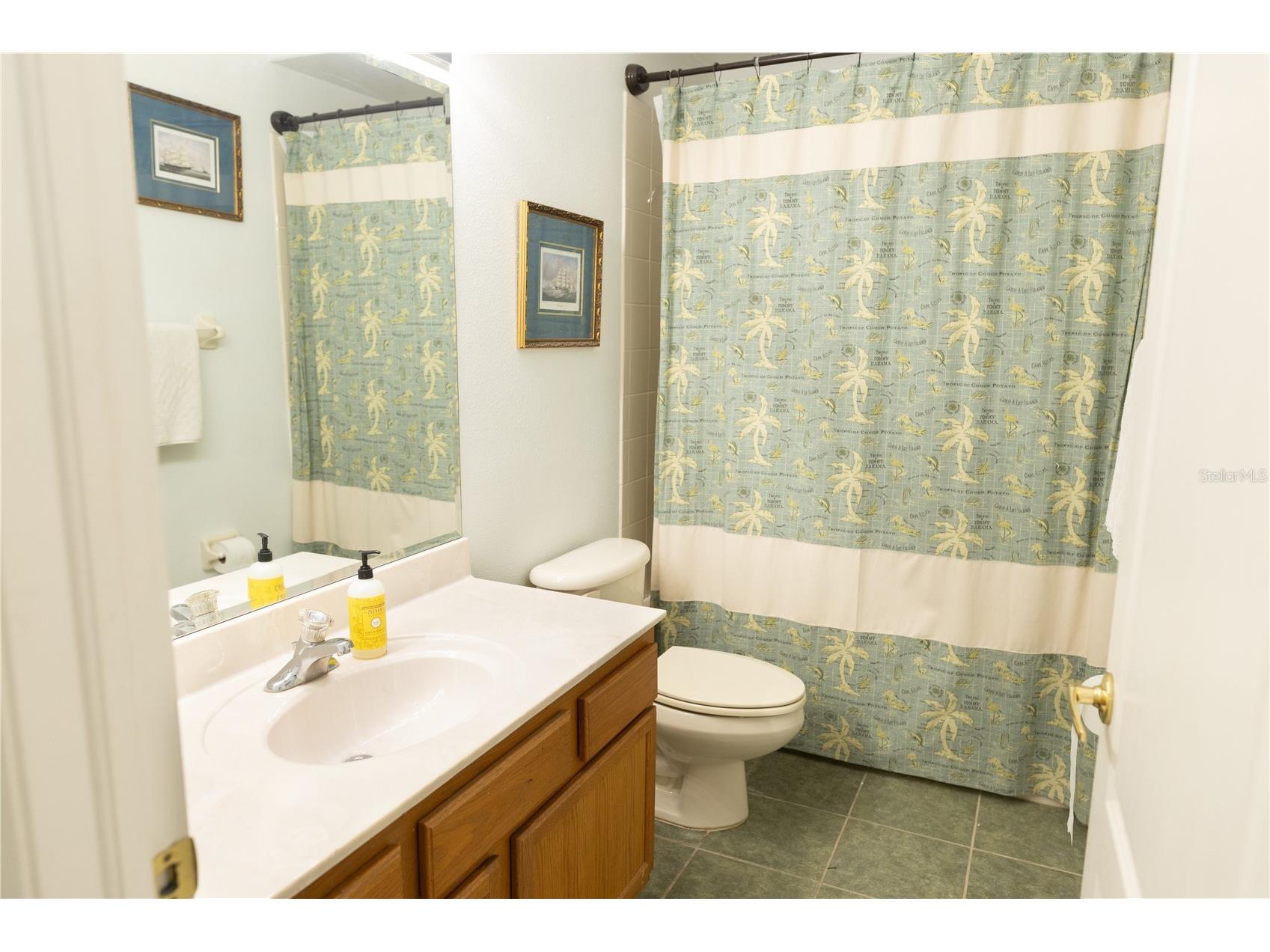 26620 Shoregrass Drive Wesley Chapel FL 33544 G5098399 image27