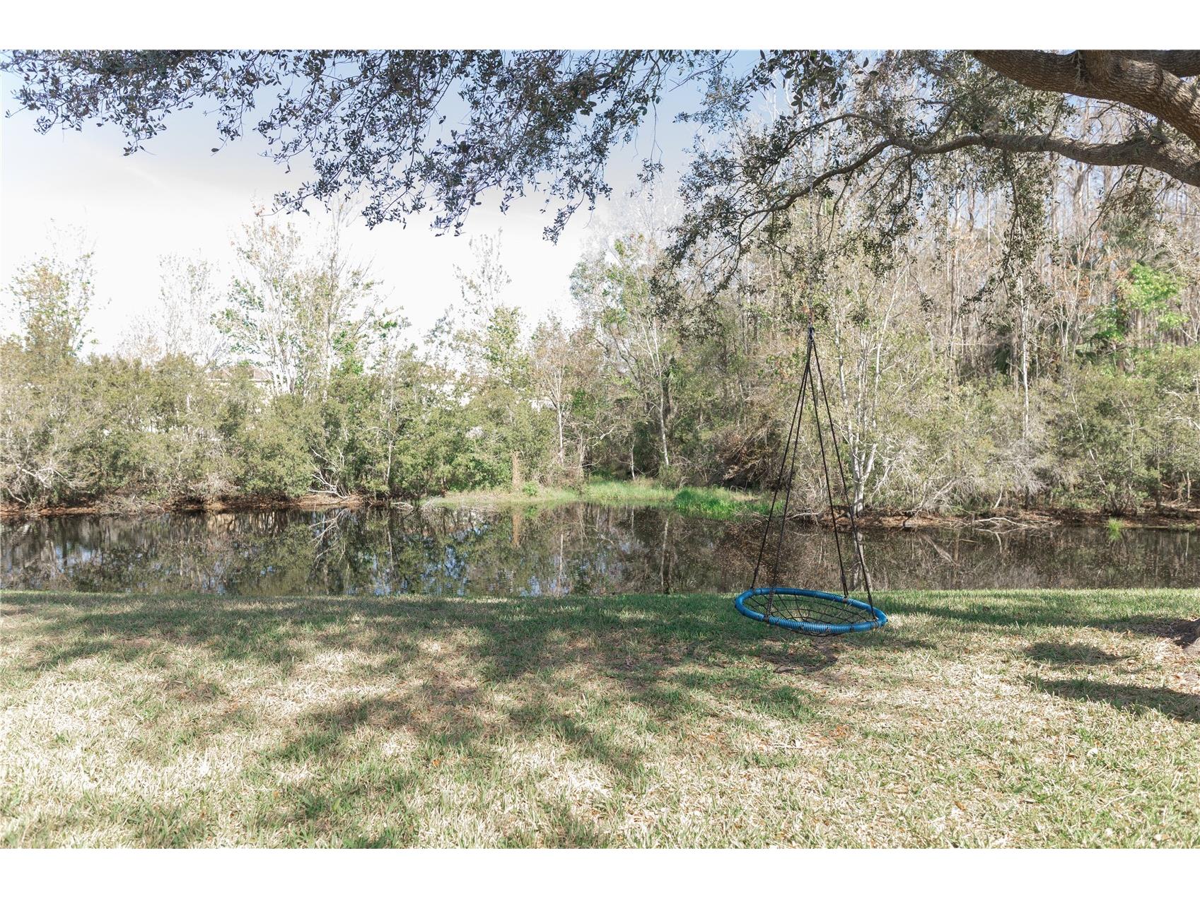 26620 Shoregrass Drive Wesley Chapel FL 33544 G5098399 image35