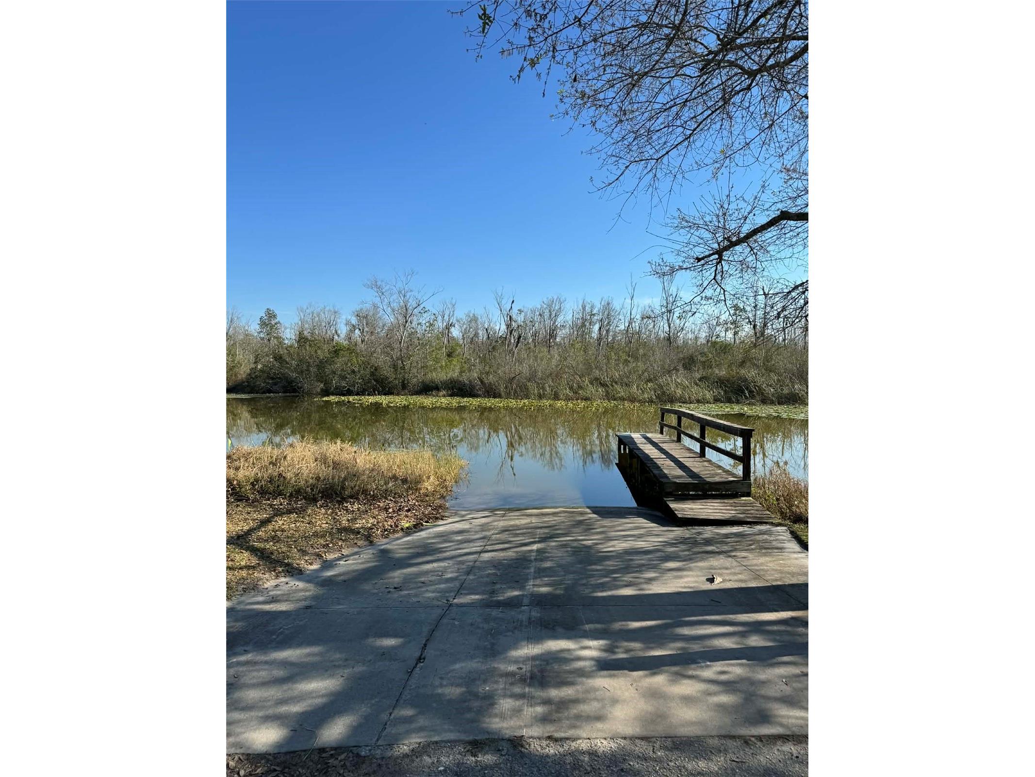 26625 Bimini Drive Tavares FL 32778 - LAKE HARRIS O6374764 image33