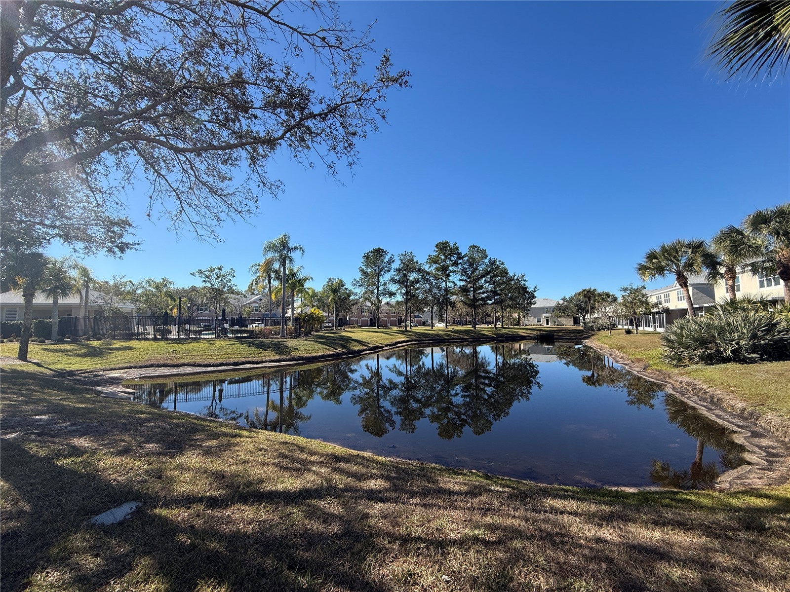 26627 Castleview Way Wesley Chapel FL 33544 TB8473896 image23