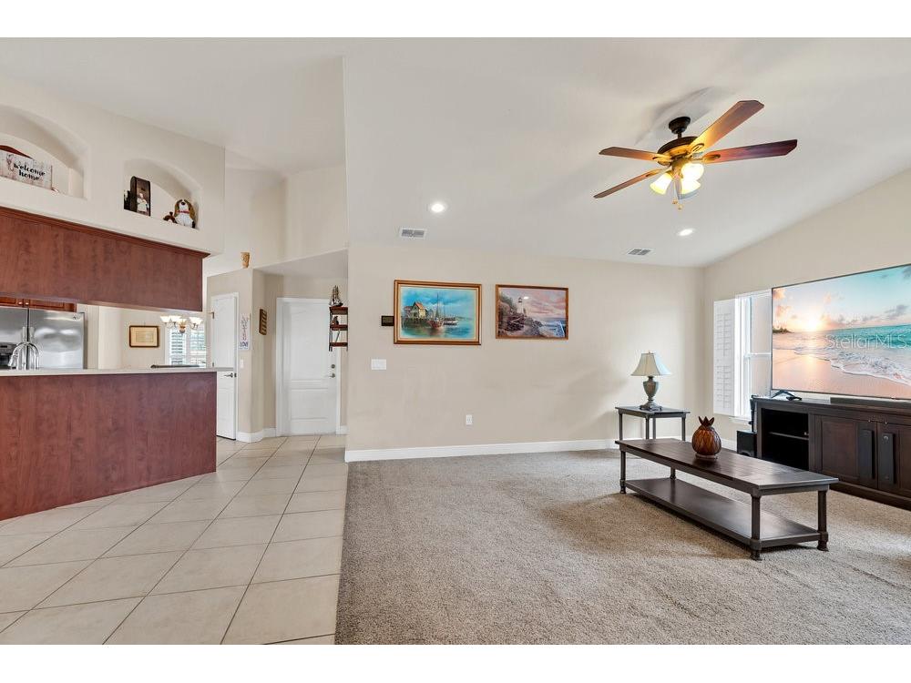 2663 Brookside Bluff Loop Lakeland FL 33813 L4957725 image14