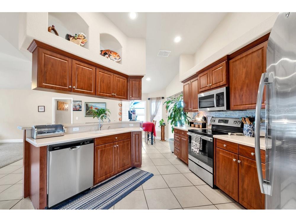 2663 Brookside Bluff Loop Lakeland FL 33813 L4957725 image9