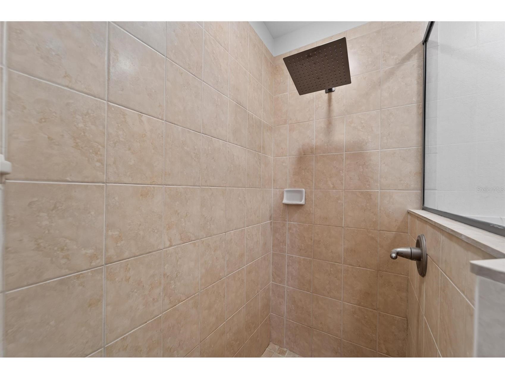 2663 Brookside Bluff Loop Lakeland FL 33813 L4962008 image38