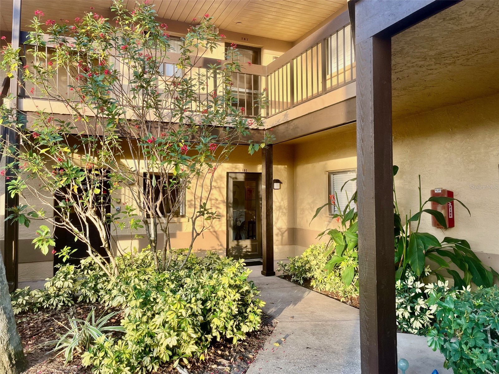 2663 Sabal Springs Circle #102 Clearwater FL 33761 TB8463211 image2