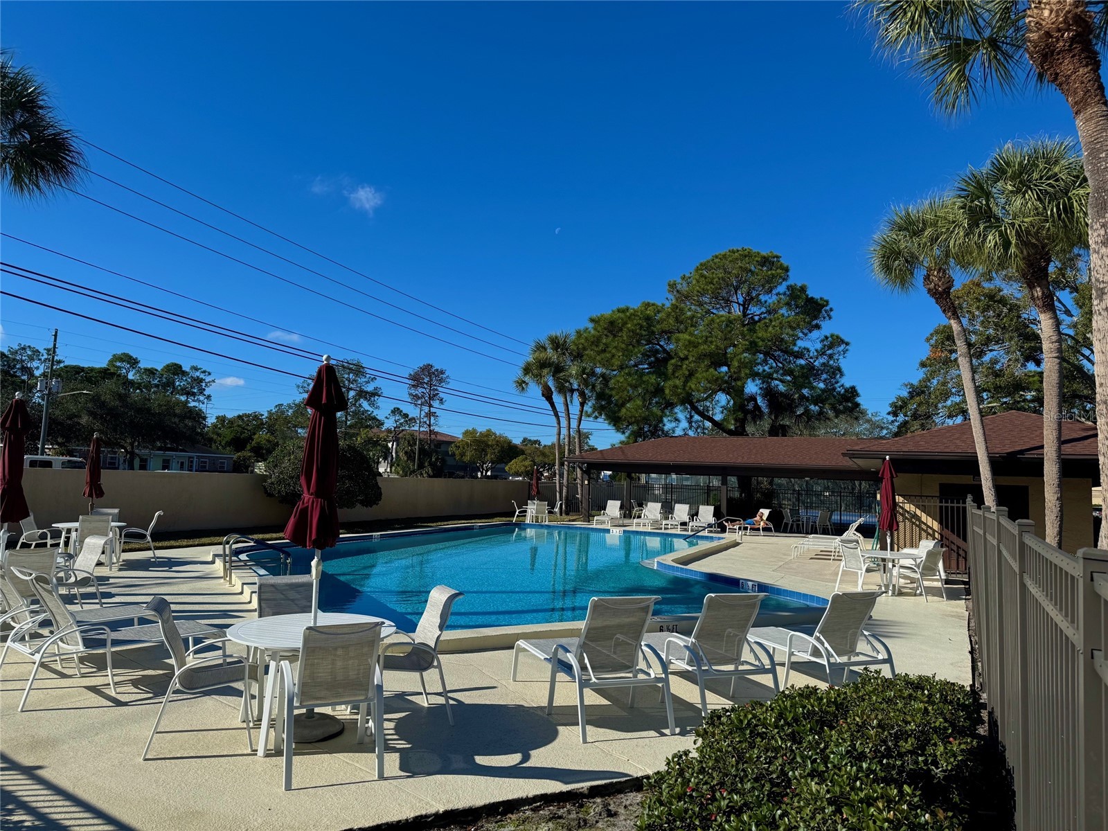 2663 Sabal Springs Circle #102 Clearwater FL 33761 TB8463211 image30