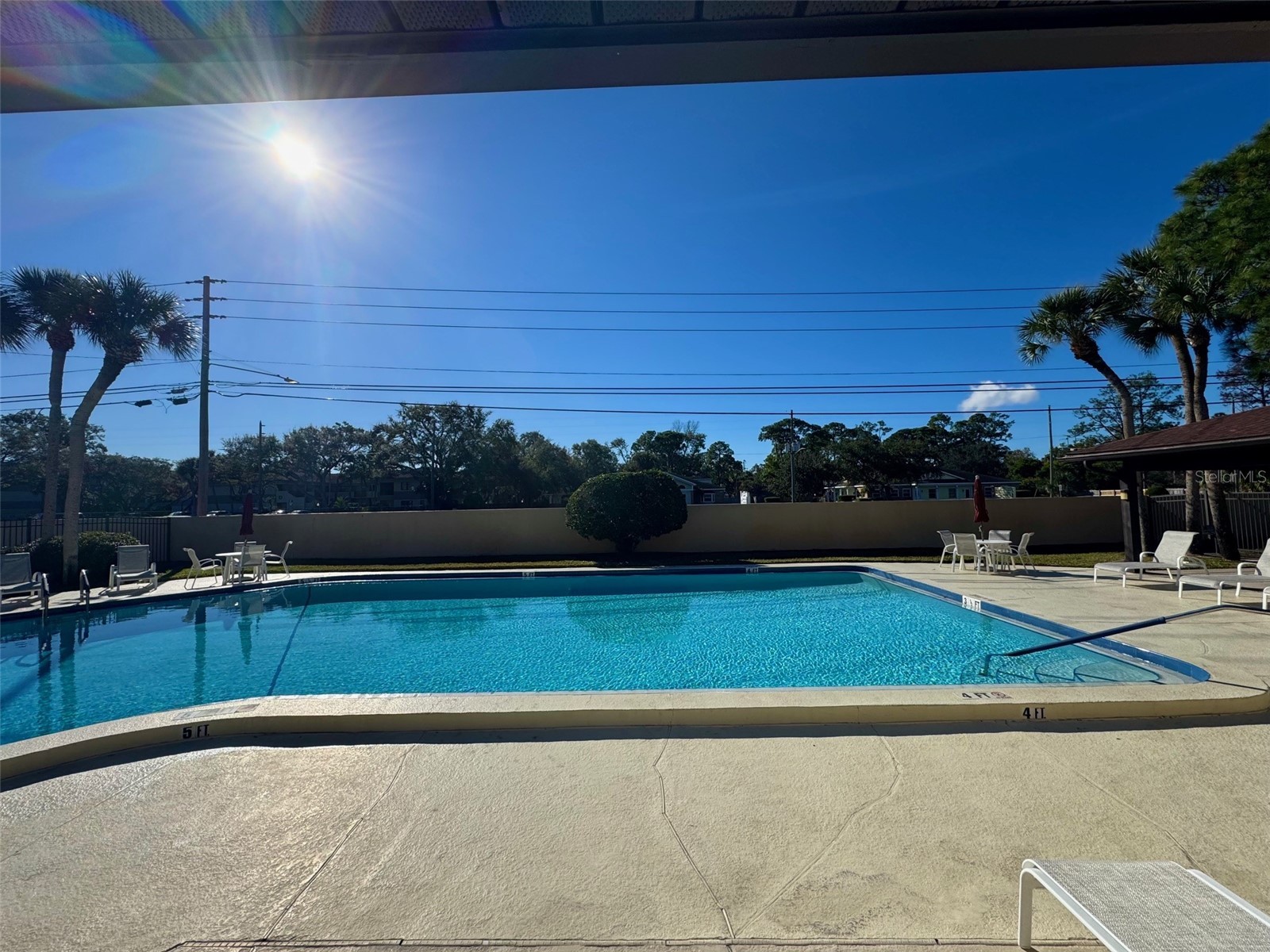 2663 Sabal Springs Circle #102 Clearwater FL 33761 TB8463211 image32