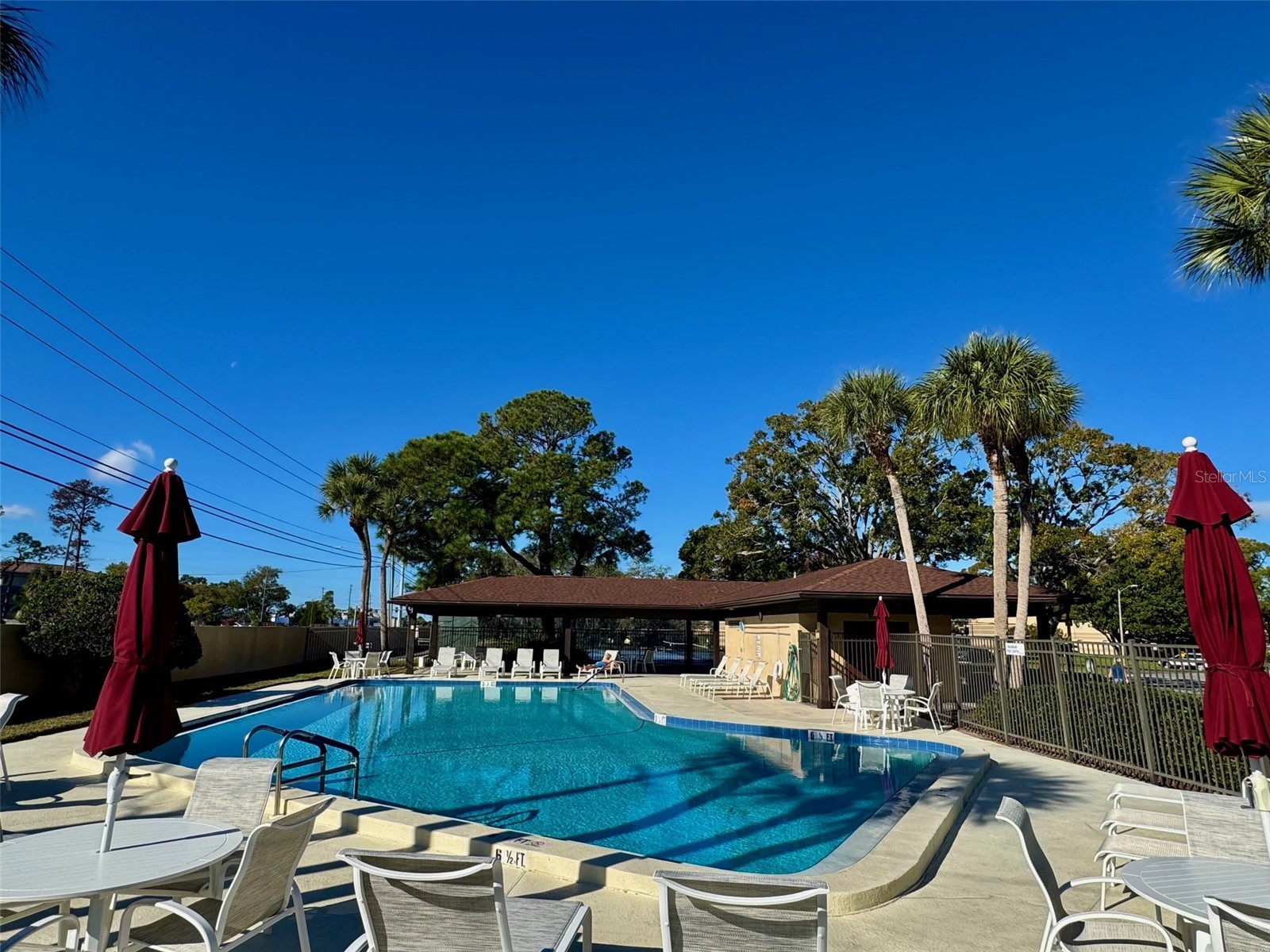 2663 Sabal Springs Circle #102 Clearwater FL 33761 TB8463211 image33