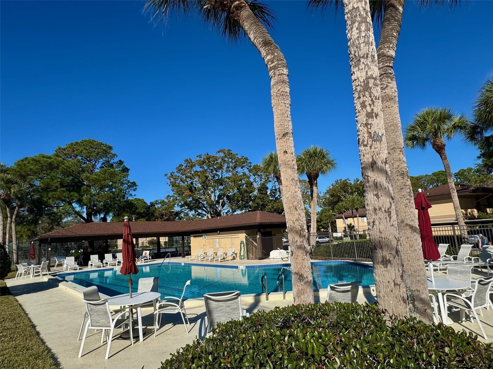 2663 Sabal Springs Circle #102 Clearwater FL 33761 TB8463211 image34