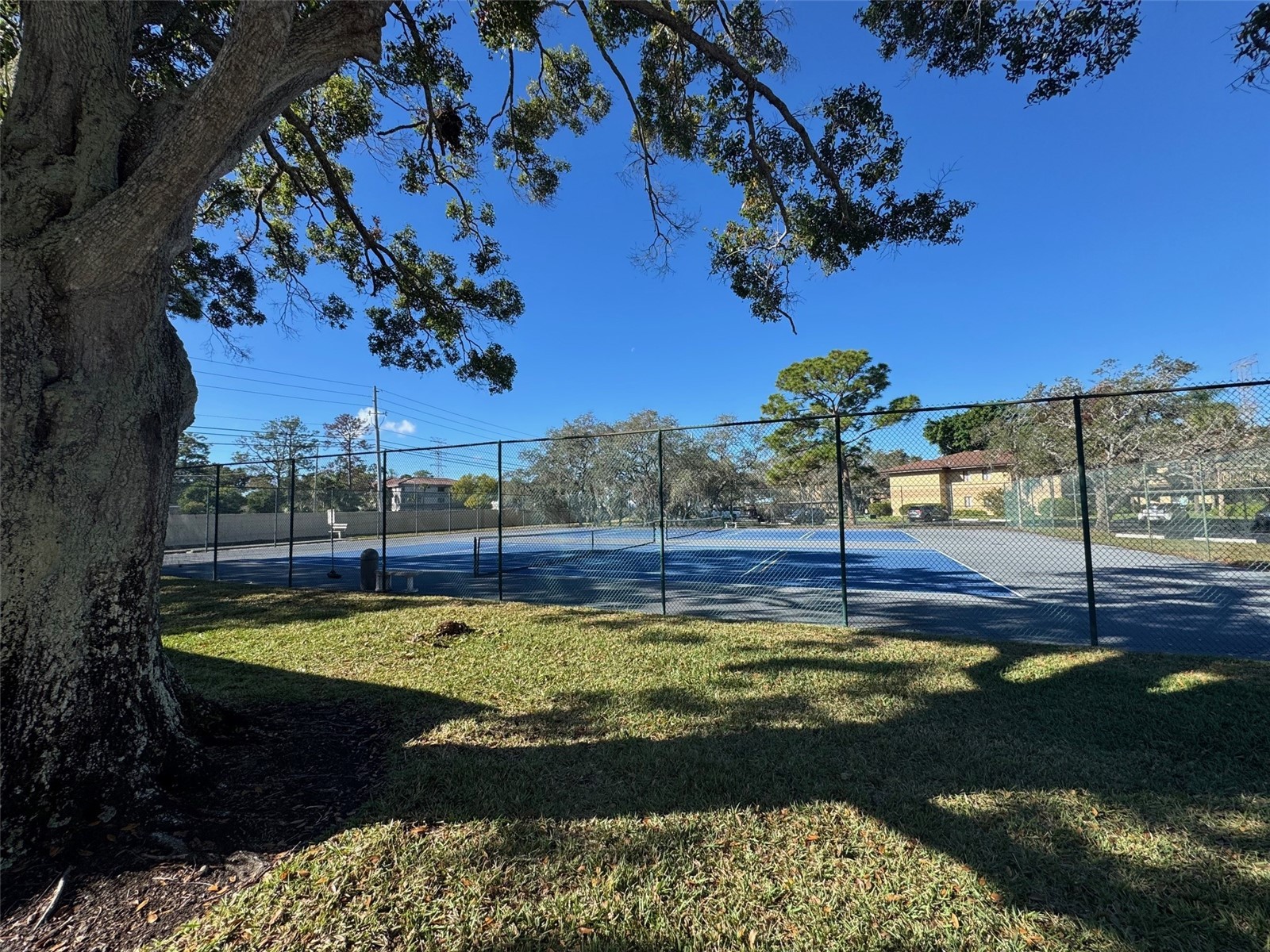 2663 Sabal Springs Circle #102 Clearwater FL 33761 TB8463211 image35