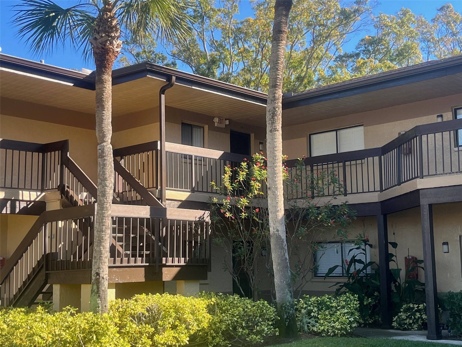 2663 Sabal Springs Circle #102 Clearwater FL 33761 TB8463211 image36