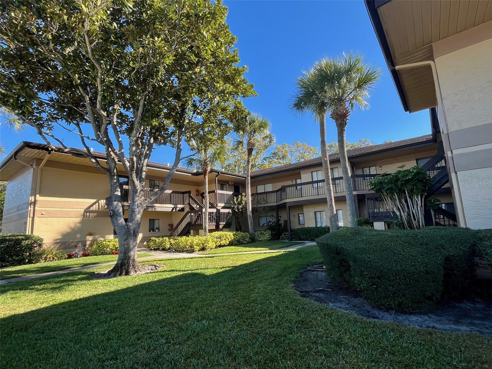 2663 Sabal Springs Circle #102 Clearwater FL 33761 TB8463211 image37