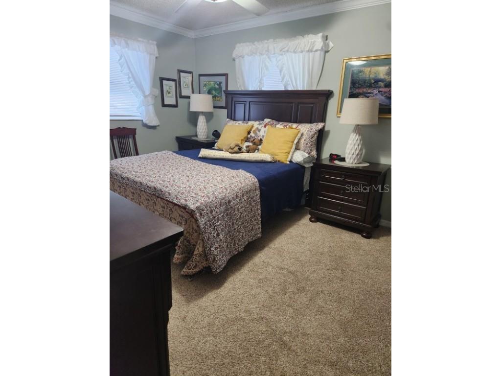 26630 Cayman Drive Tavares FL 32778 A4667130 image10