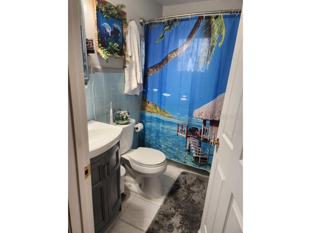 26630 Cayman Drive Tavares FL 32778 A4667130 image9