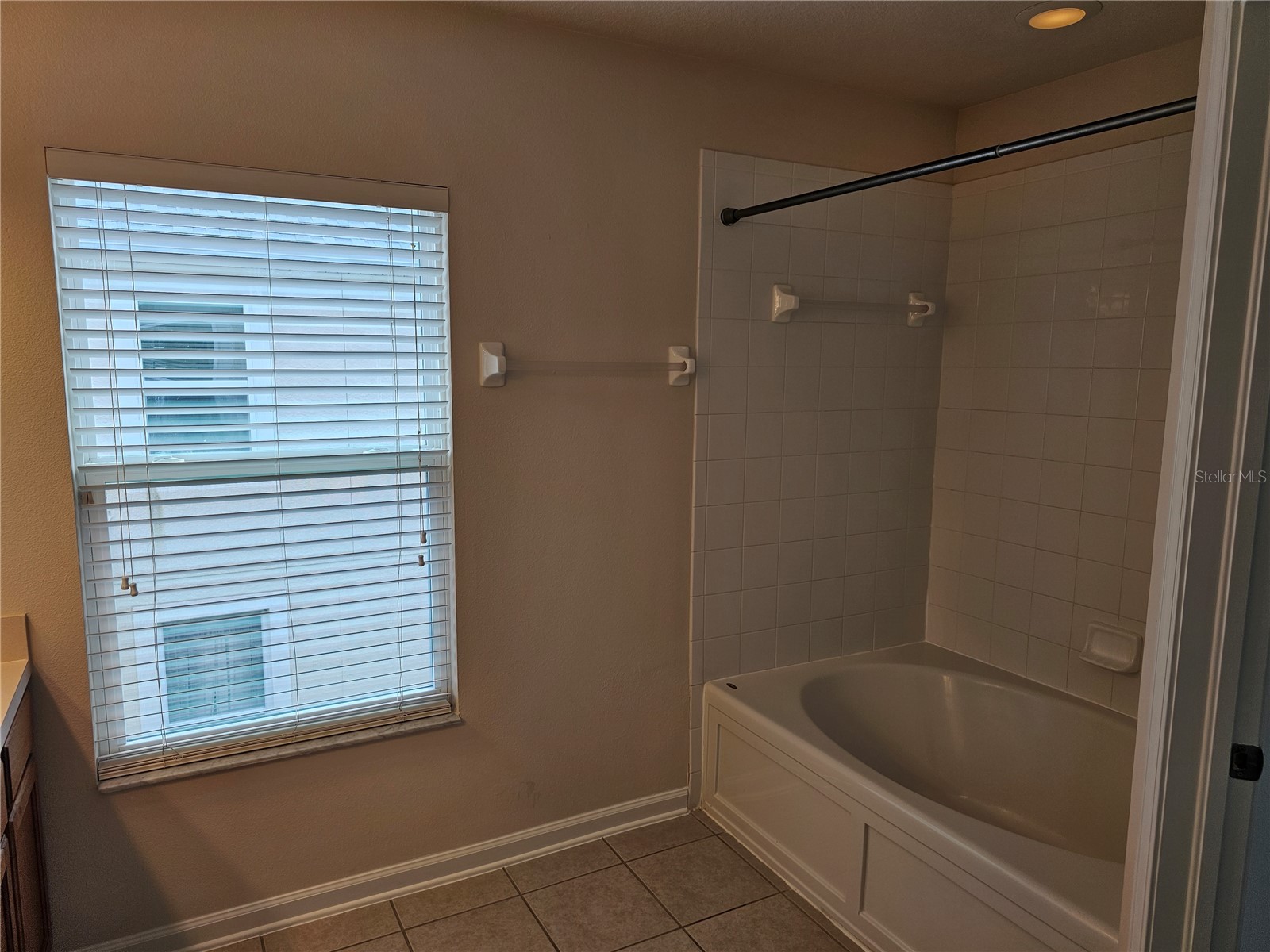 26638 Castleview Way Wesley Chapel FL 33544 TB8499773 image13