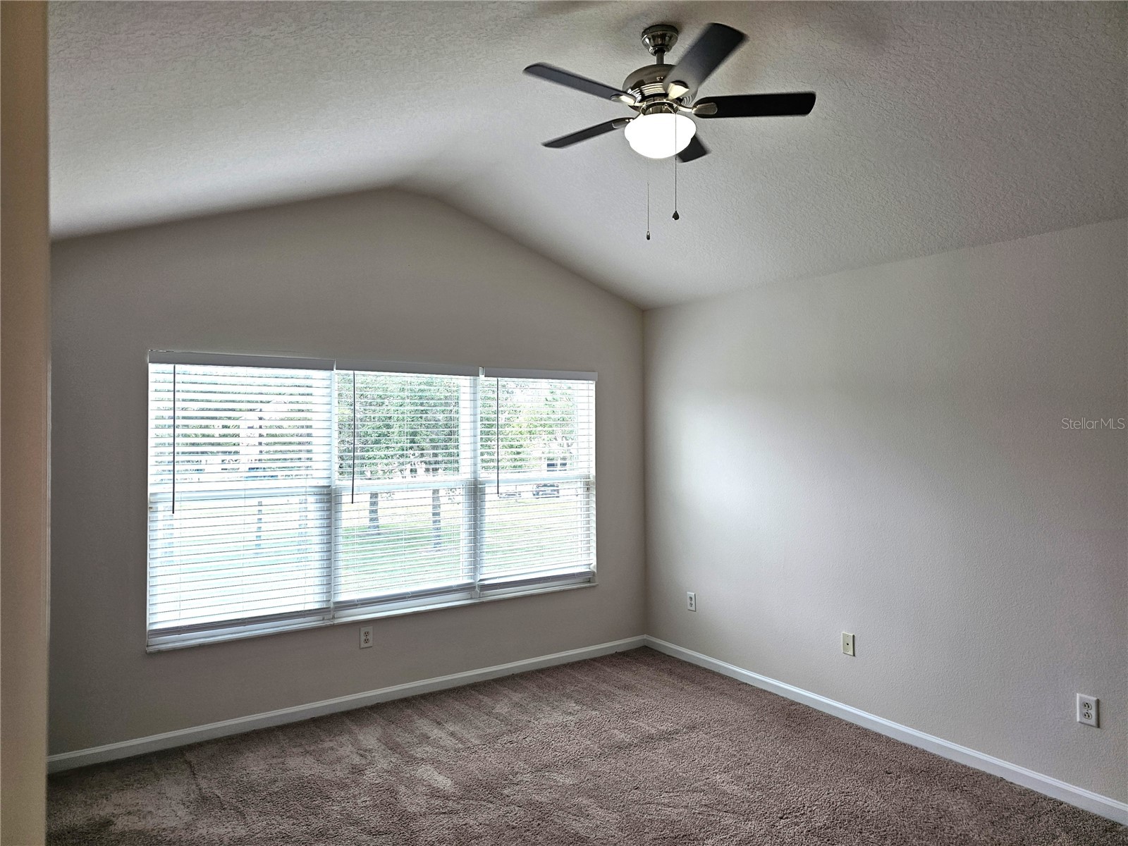 26638 Castleview Way Wesley Chapel FL 33544 TB8499773 image15