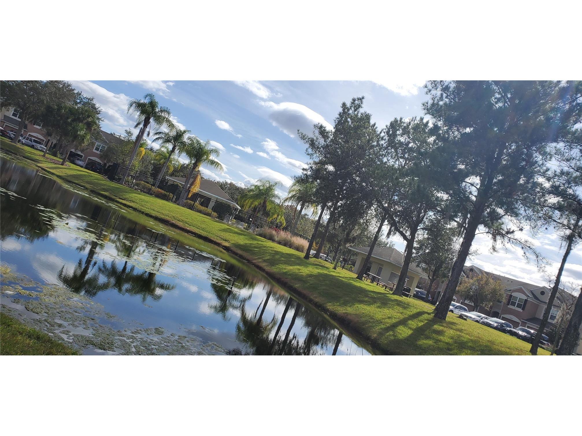 26638 Castleview Way Wesley Chapel FL 33544 TB8499773 image22