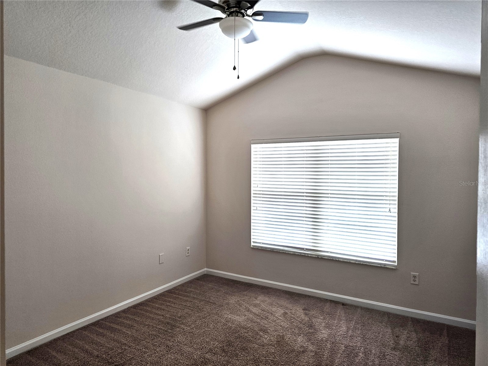 26638 Castleview Way Wesley Chapel FL 33544 TB8499773 image7