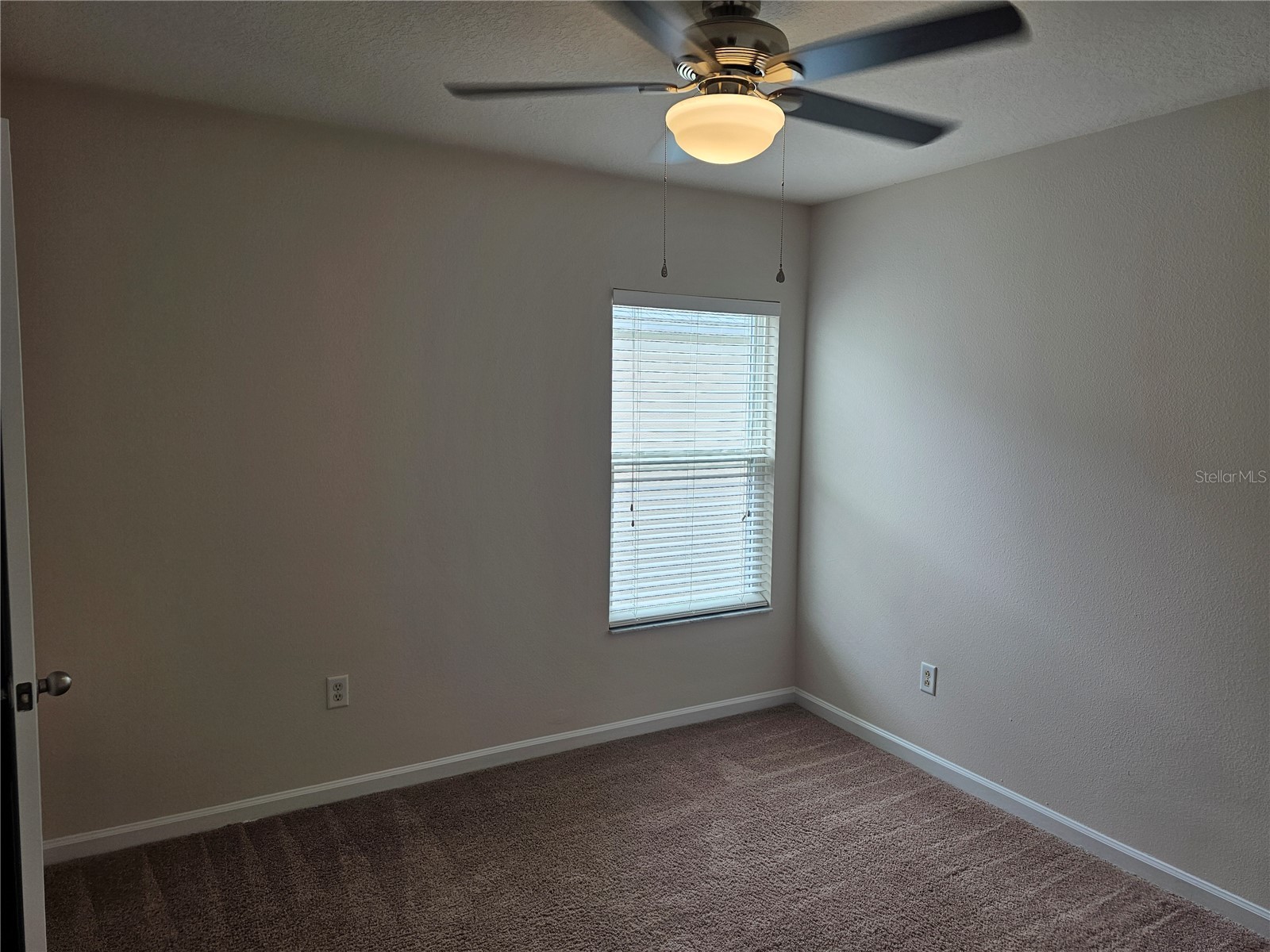 26638 Castleview Way Wesley Chapel FL 33544 TB8499773 image8