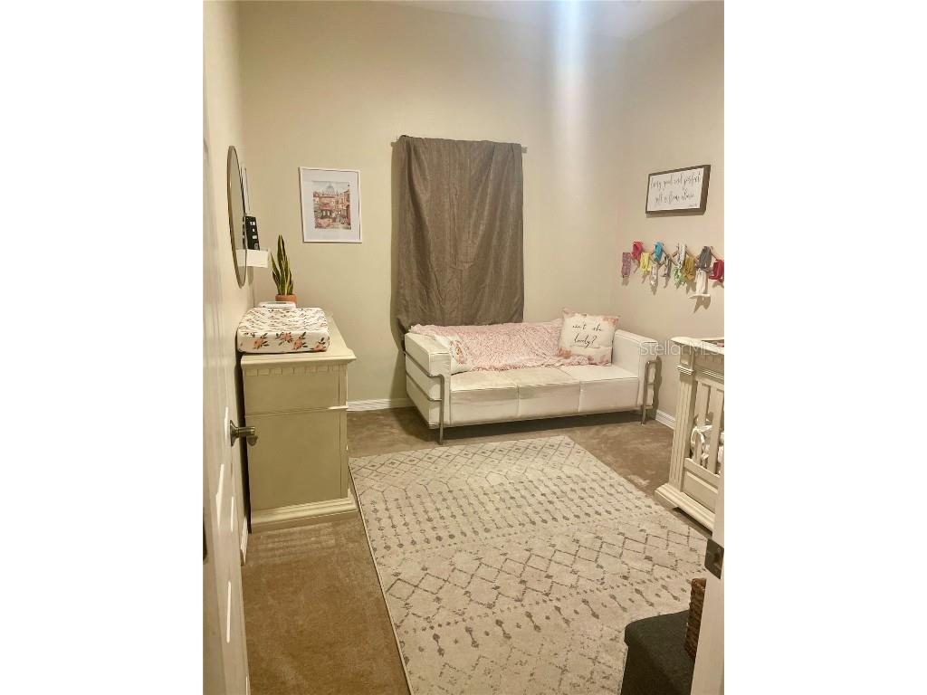 26638 Green Willow Run Wesley Chapel FL 33544 T3552902 image12