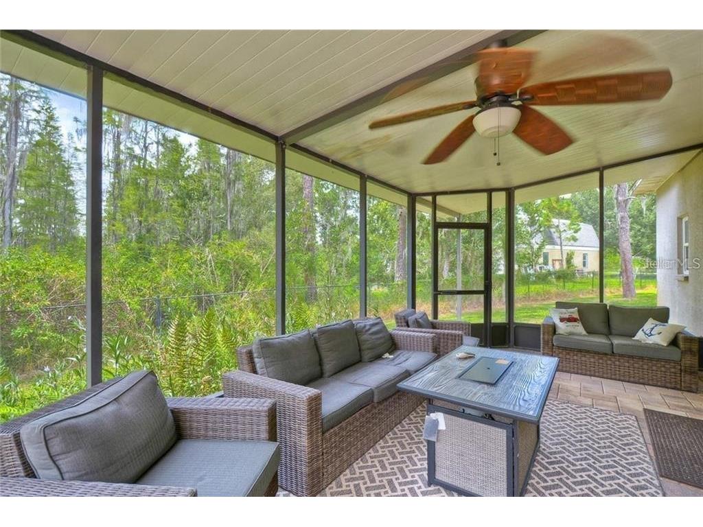 26638 Green Willow Run Wesley Chapel FL 33544 T3552902 image15