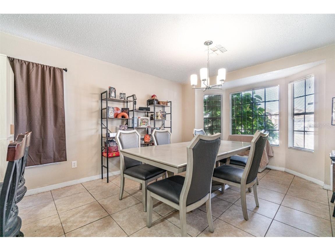 2664 Horseshoe Bay Drive Kissimmee FL 34741 O6363343 image8