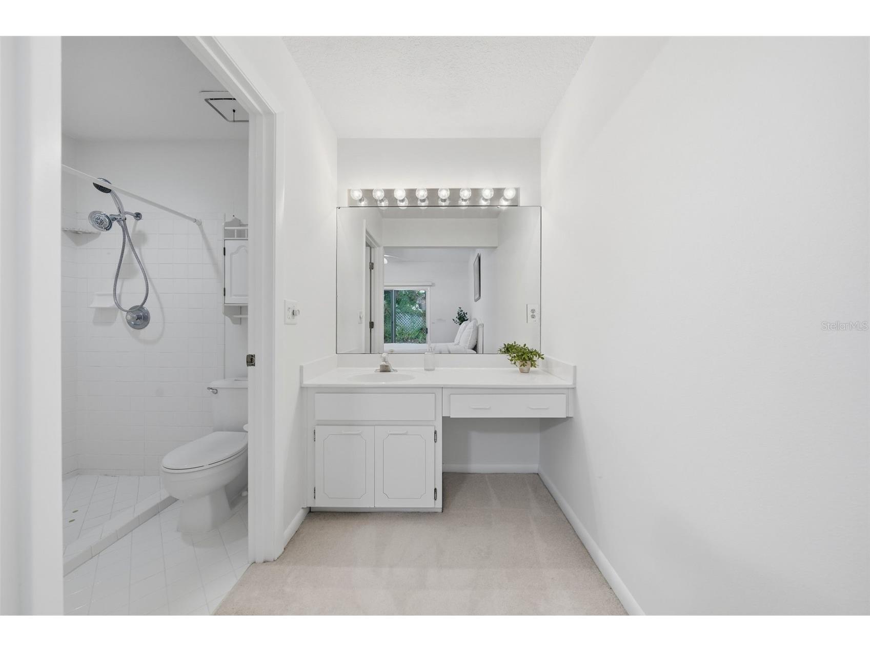 2664 Mcdonald Terrace Mount Dora FL 32757 O6425190 image21