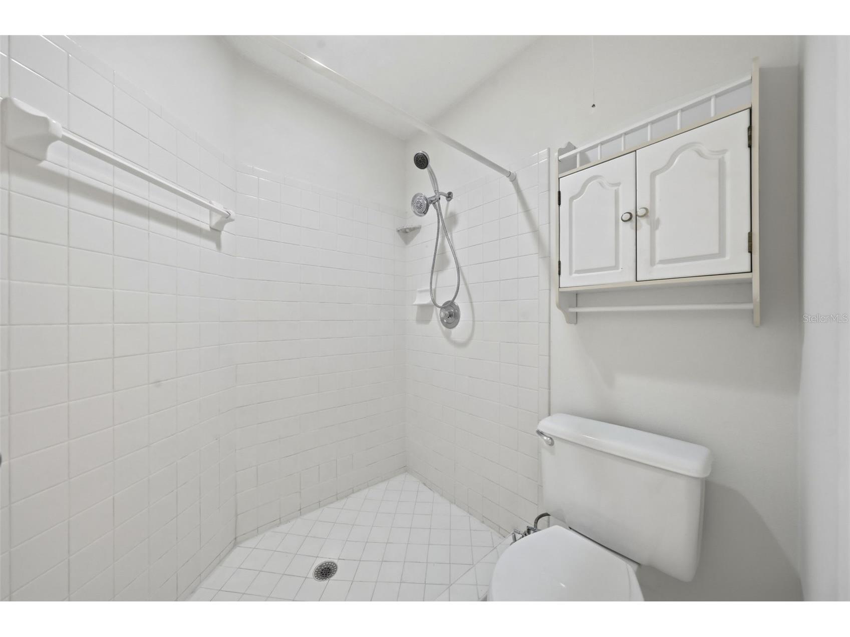 2664 Mcdonald Terrace Mount Dora FL 32757 O6425190 image22