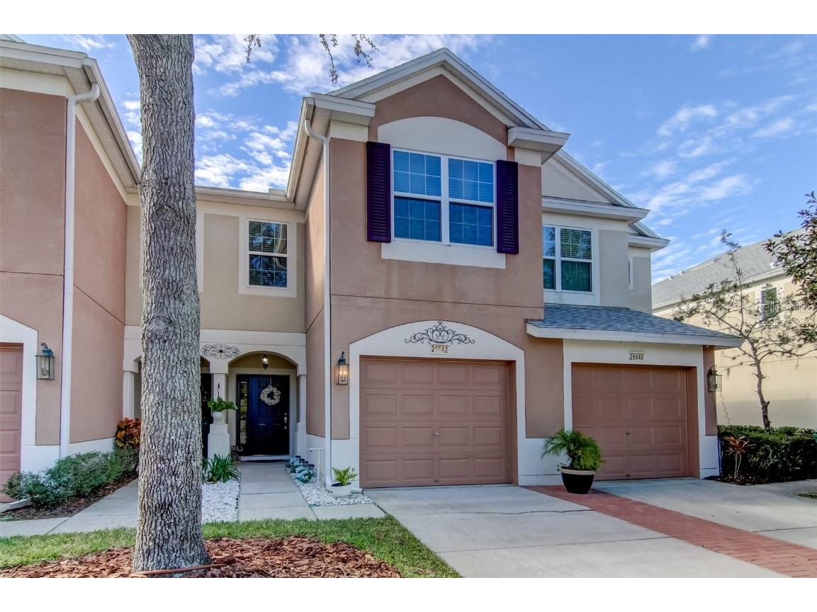 26642 Castleview Way Wesley Chapel FL 33544 TB8430350 image1