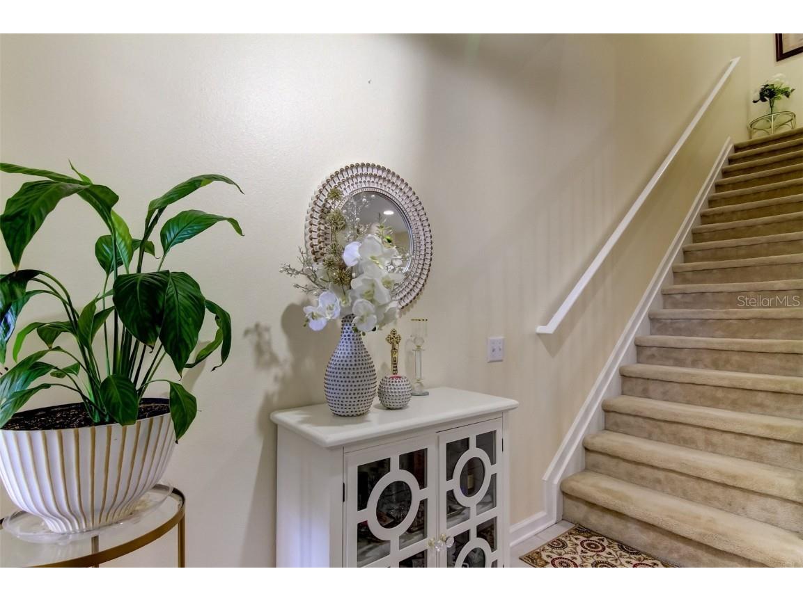 26642 Castleview Way Wesley Chapel FL 33544 TB8430350 image27