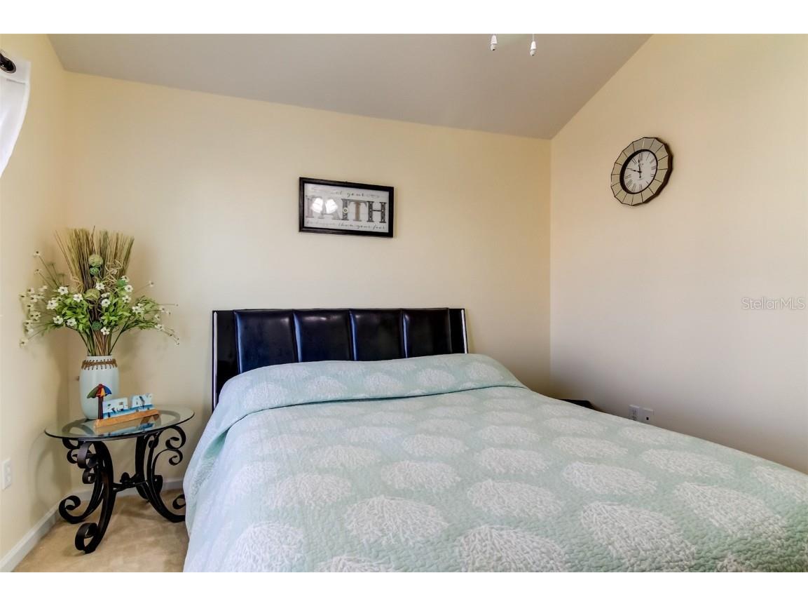 26642 Castleview Way Wesley Chapel FL 33544 TB8430350 image29