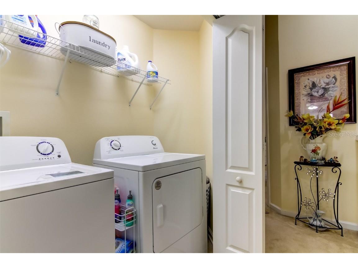 26642 Castleview Way Wesley Chapel FL 33544 TB8430350 image37