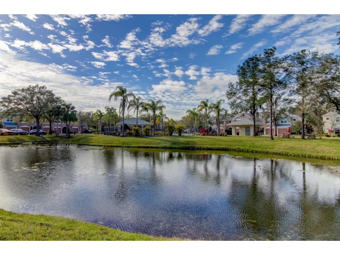 26642 Castleview Way Wesley Chapel FL 33544 TB8430350 image45