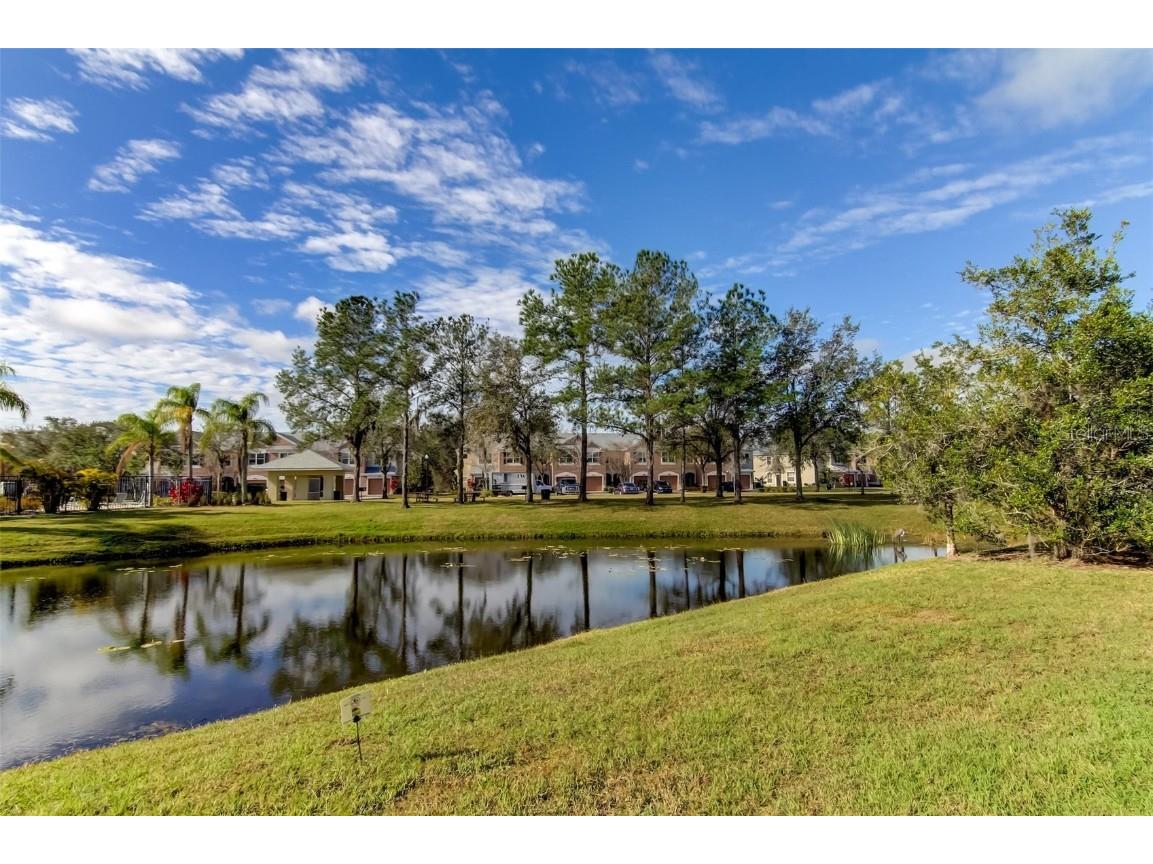 26642 Castleview Way Wesley Chapel FL 33544 TB8430350 image46