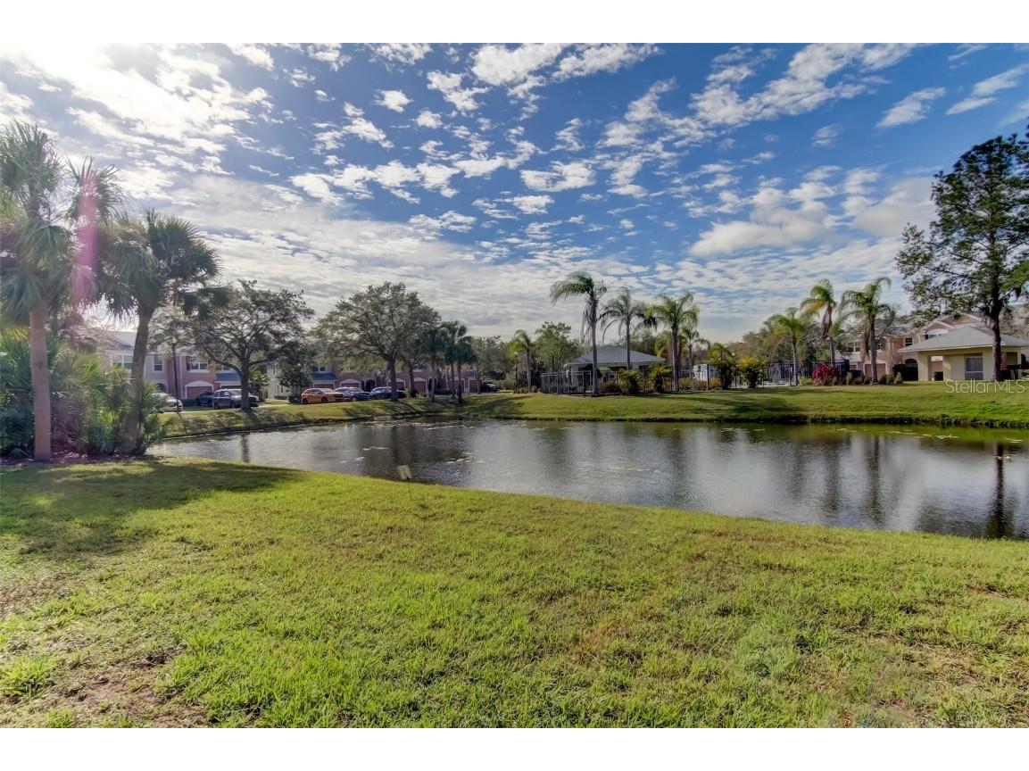 26642 Castleview Way Wesley Chapel FL 33544 TB8430350 image47