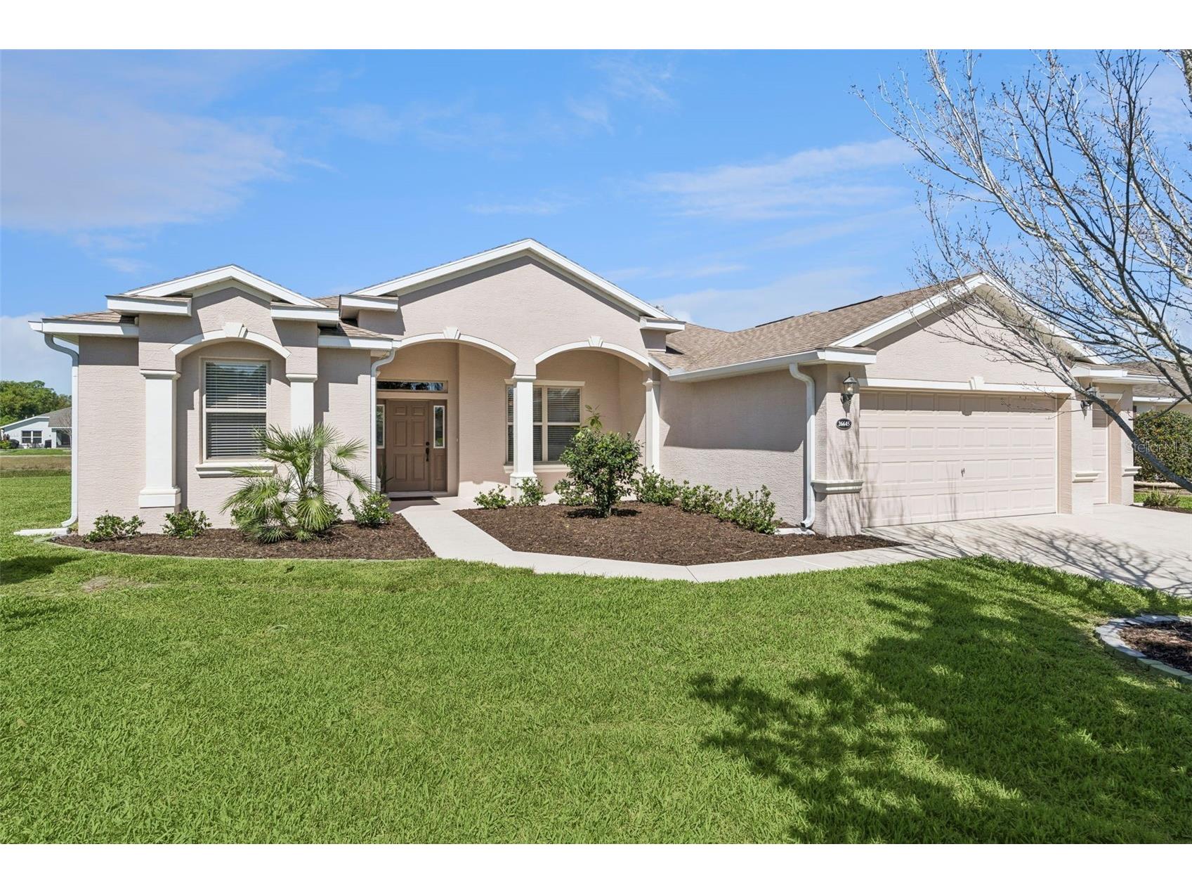 26645 Manassas Drive Leesburg FL 34748 O6393296 image1