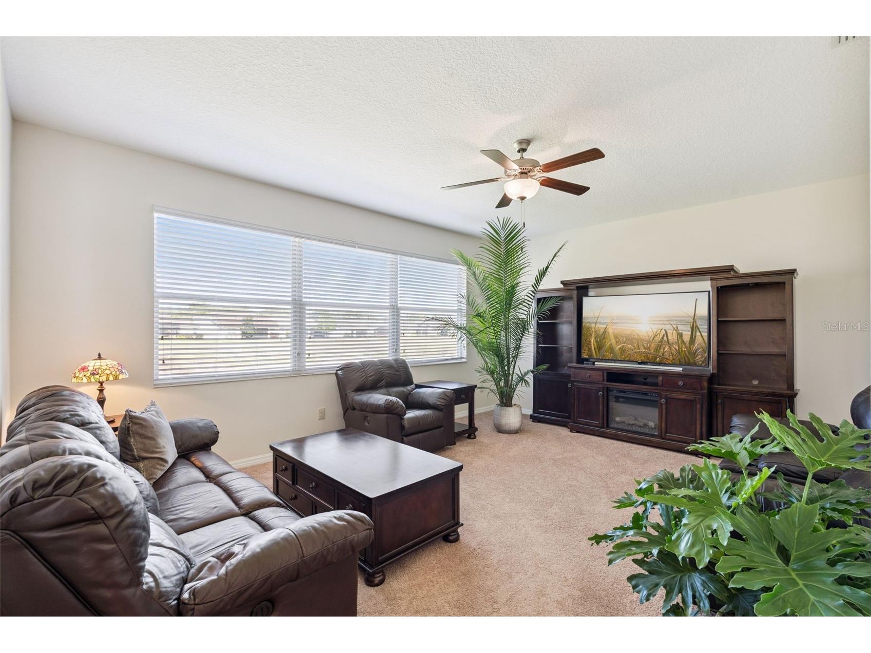 26645 Manassas Drive Leesburg FL 34748 O6393296 image10