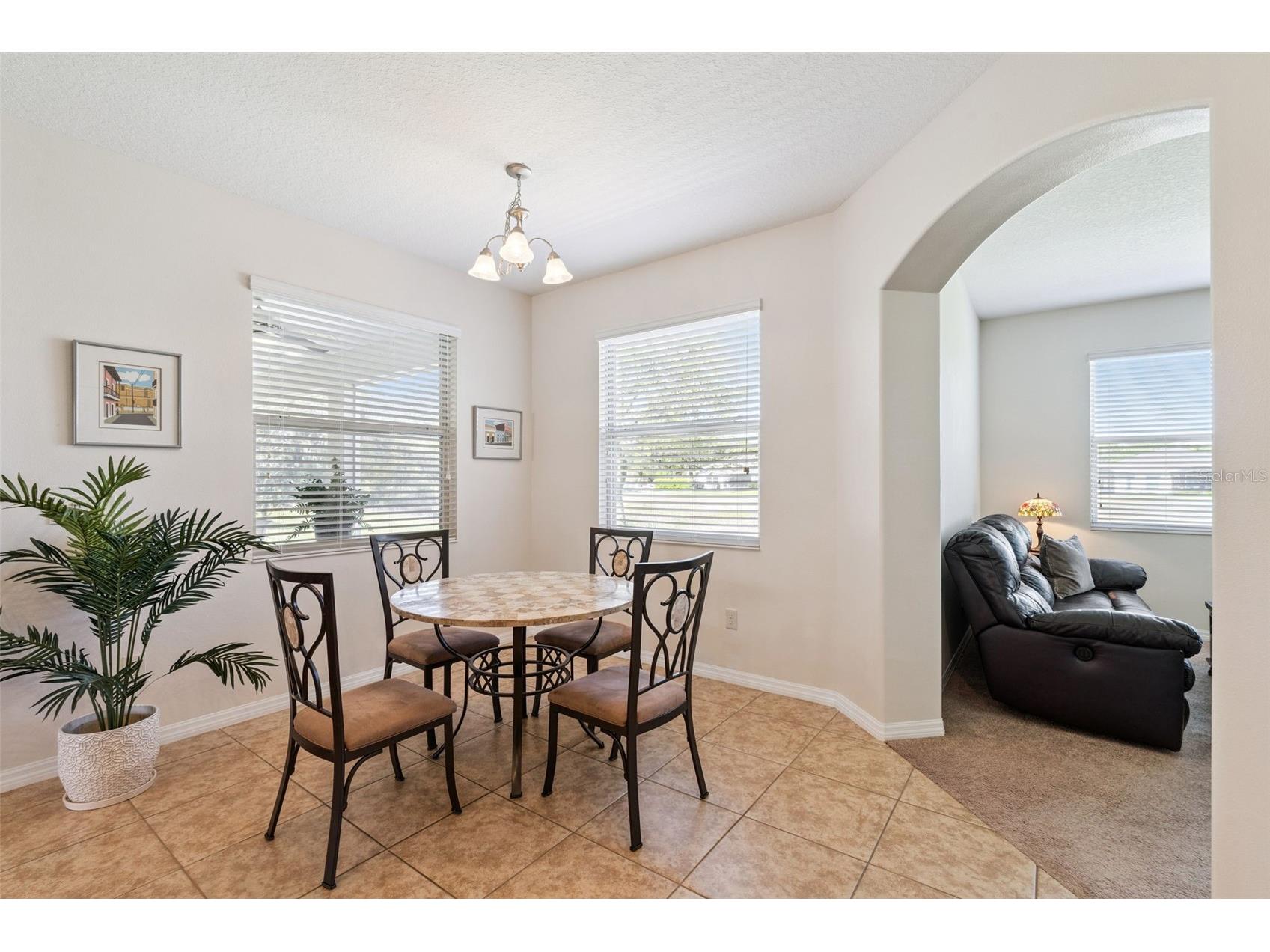 26645 Manassas Drive Leesburg FL 34748 O6393296 image11