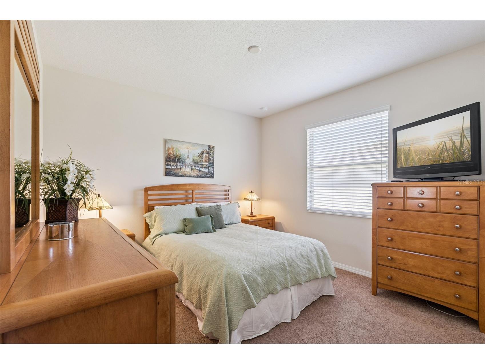 26645 Manassas Drive Leesburg FL 34748 O6393296 image20