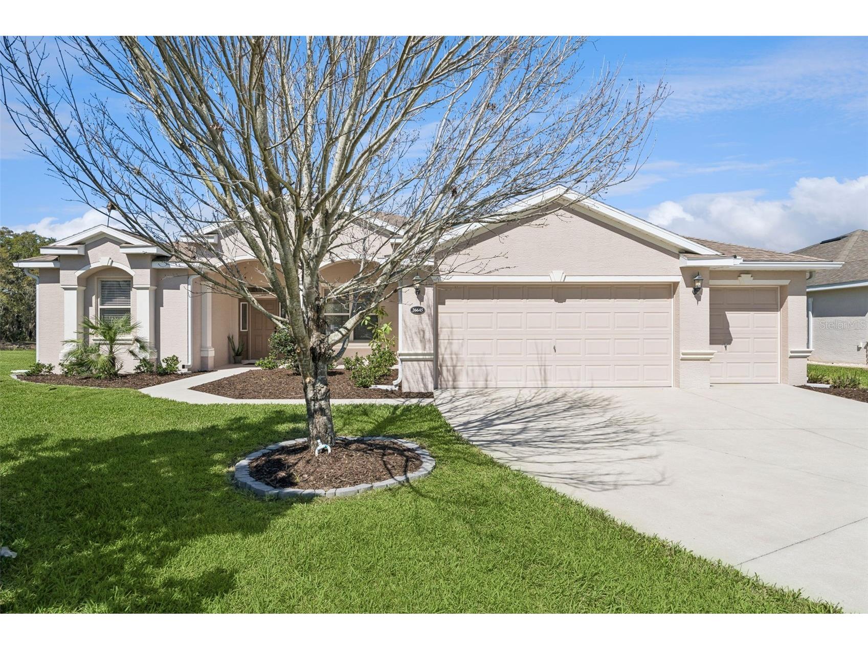 26645 Manassas Drive Leesburg FL 34748 O6393296 image35