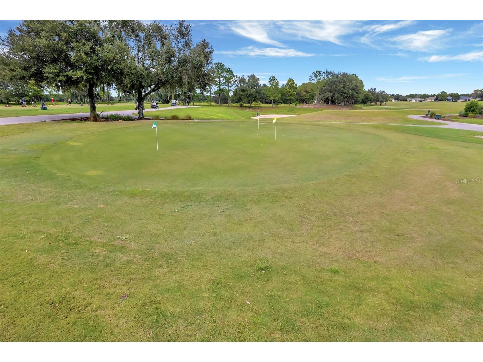 26645 Manassas Drive Leesburg FL 34748 O6393296 image53