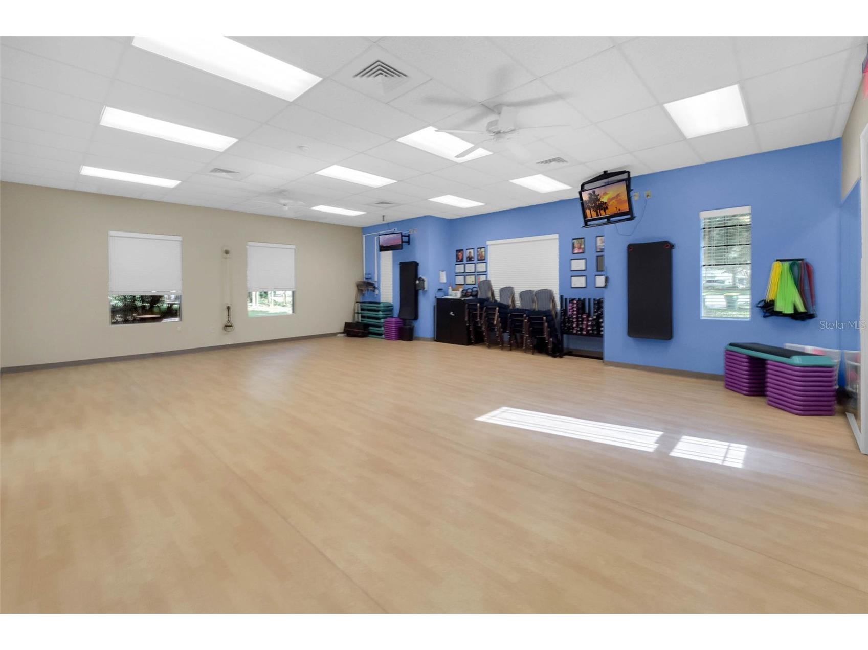 26645 Manassas Drive Leesburg FL 34748 O6393296 image62