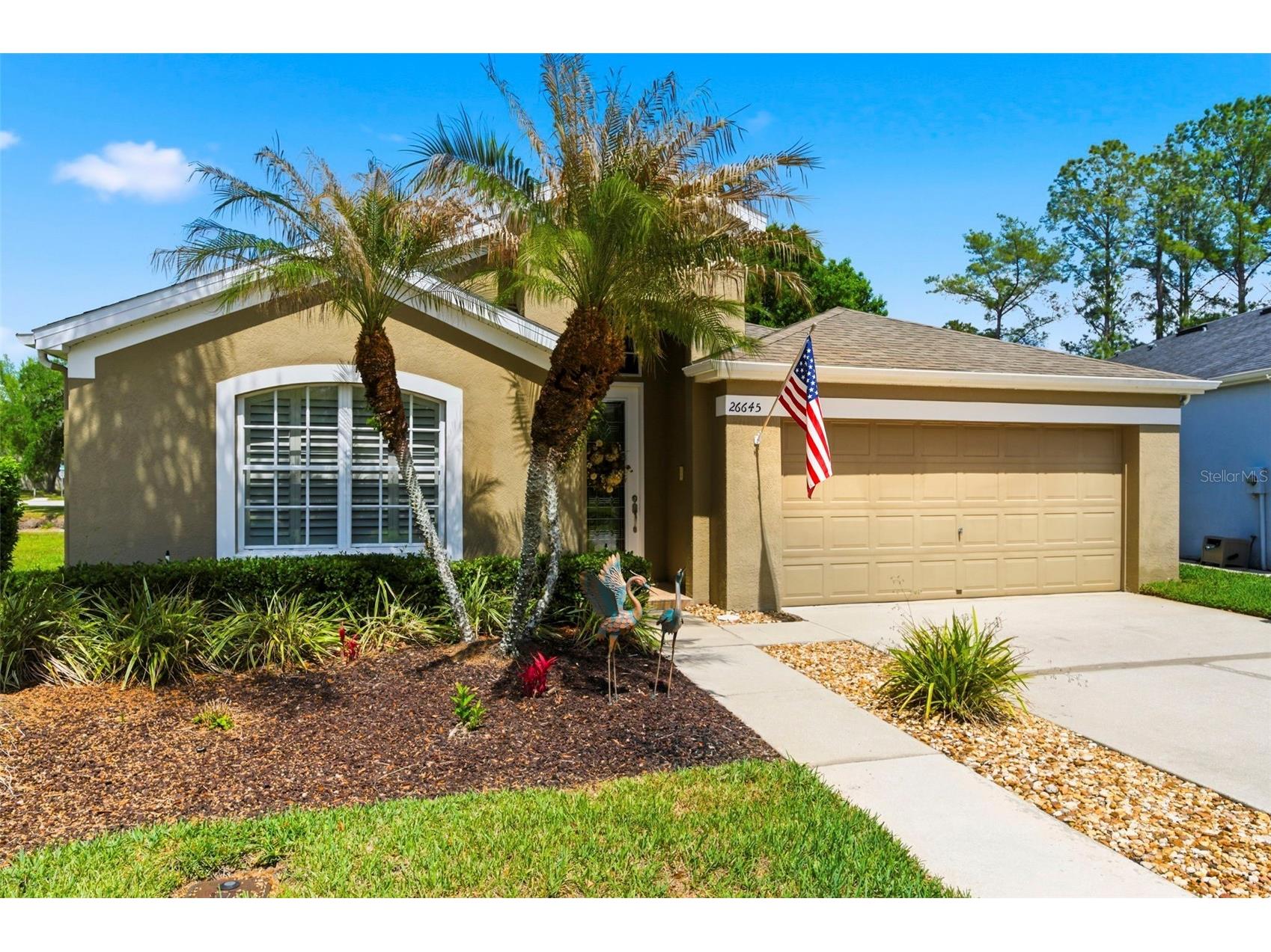 26645 Sea Hero Circle Wesley Chapel FL 33544 TB8496618 image1