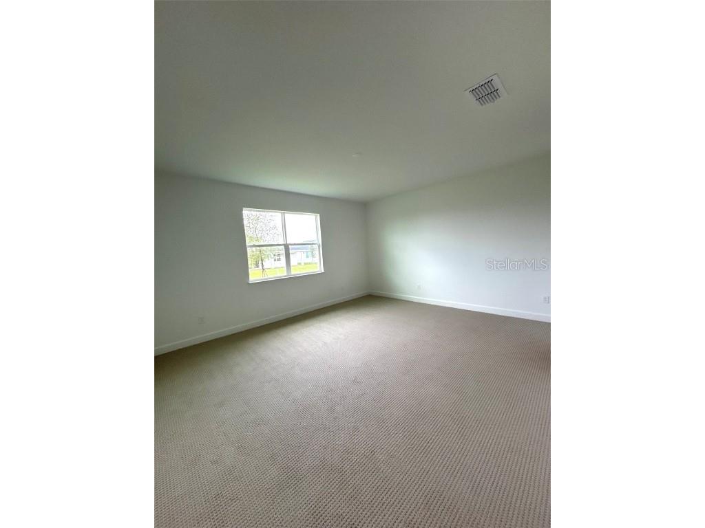 2665 Fiddle Leaf Loop Apopka FL 32712 O6324082 image25