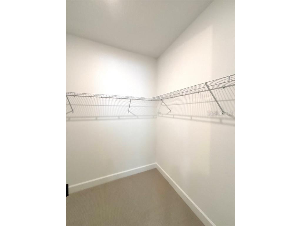 2665 Fiddle Leaf Loop Apopka FL 32712 O6324082 image26