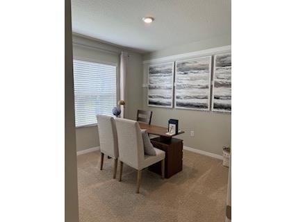 2665 Neverland Drive New Smyrna Beach FL 32168 NS1088566 image23
