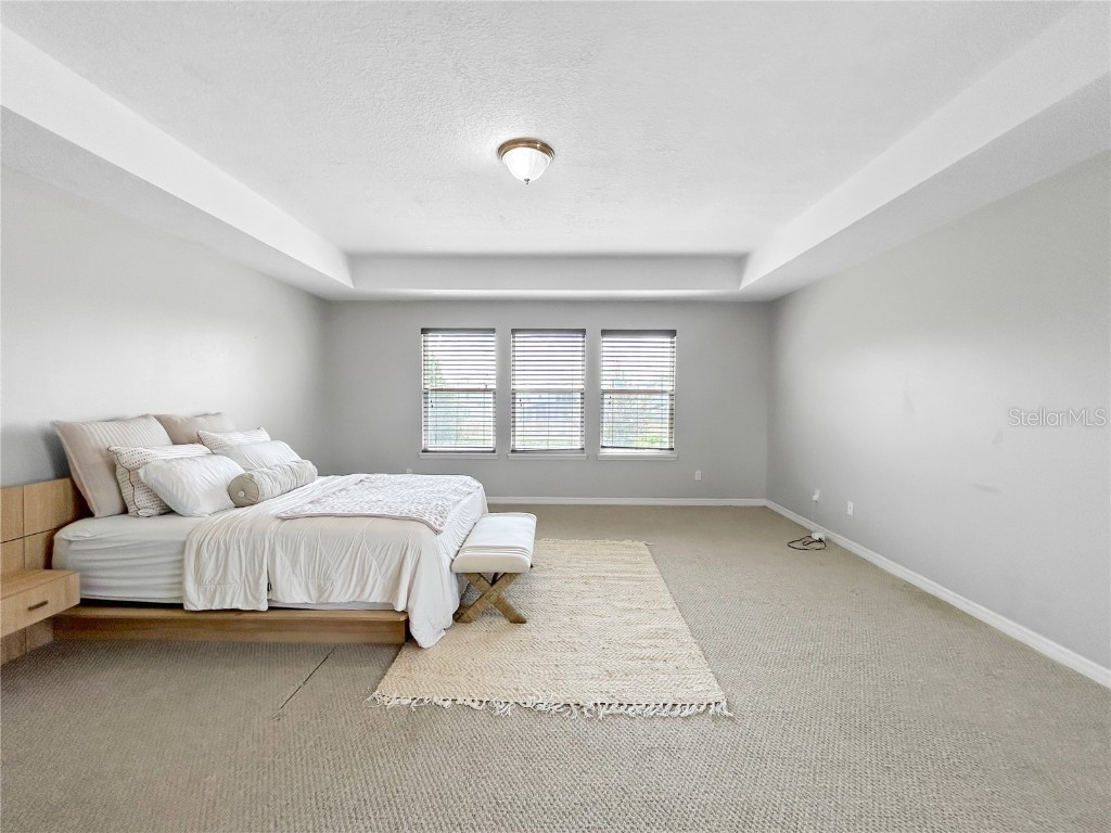 2665 San Simeon Way Kissimmee FL 34741 O6356716 image15