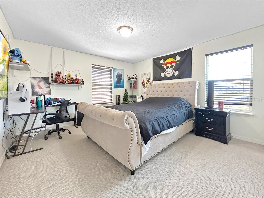 2665 San Simeon Way Kissimmee FL 34741 O6356716 image20