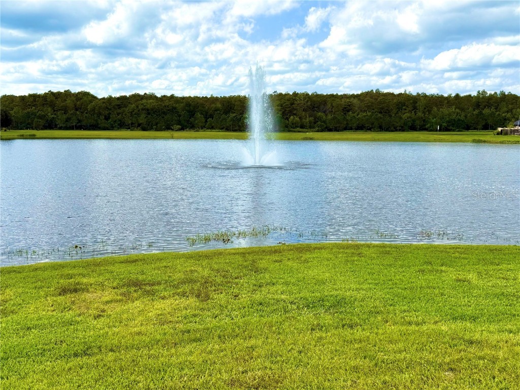 2665 San Simeon Way Kissimmee FL 34741 O6356716 image35