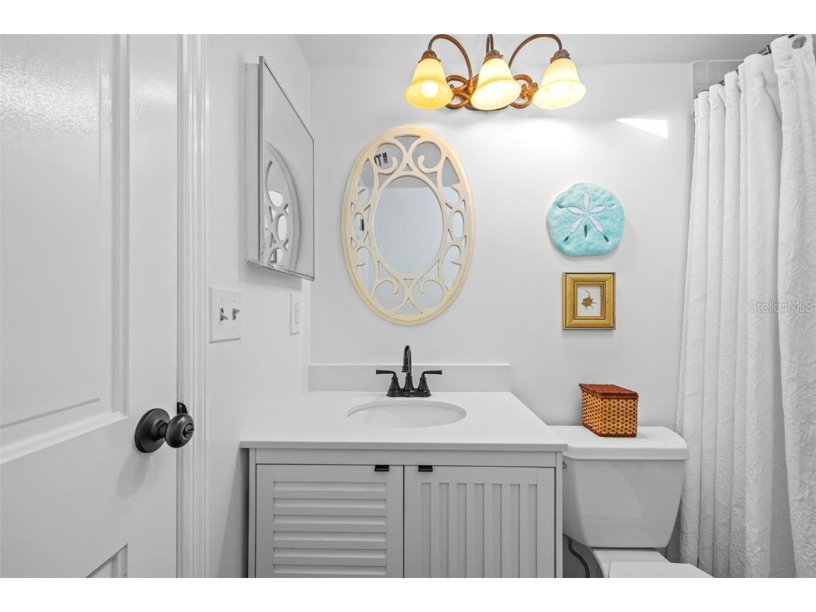 2665 Sequoia Terrace #306 Palm Harbor FL 34683 TB8387302 image15